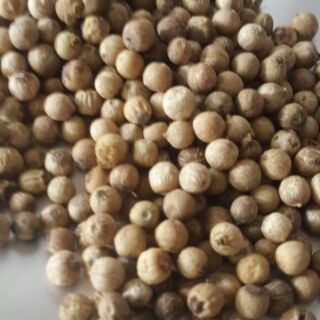 tiêu sọ trắng 280k 1kg