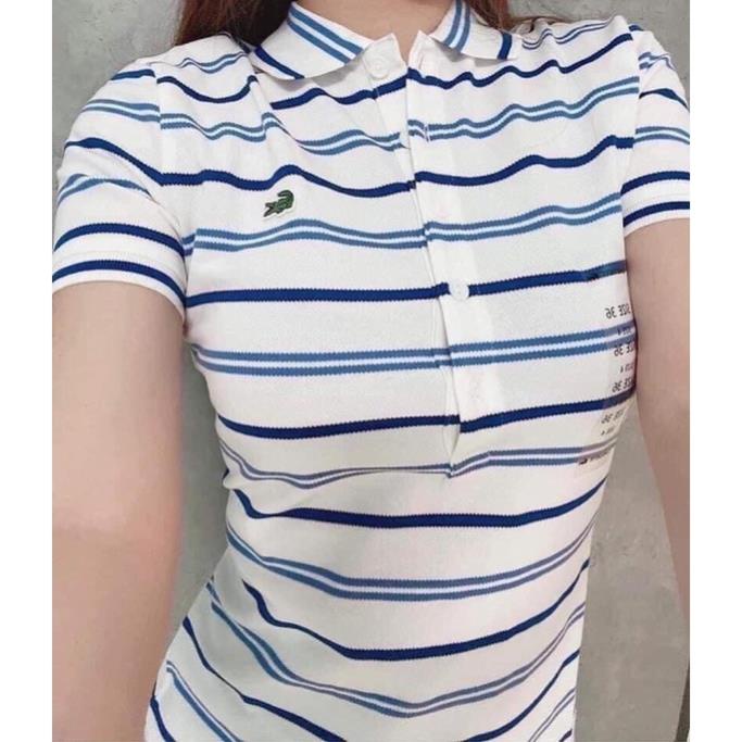 ÁO POLO KẺ NGANG CHO NỮ