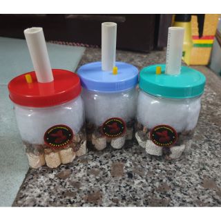 Lọc bio chế. Lọc cặn hồ cá(chương trình khuyến mãi đặc biệt khi mua 10 được tặng 1)