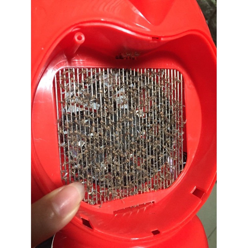 Đèn bắt muỗi hình thú + công nghệ Led