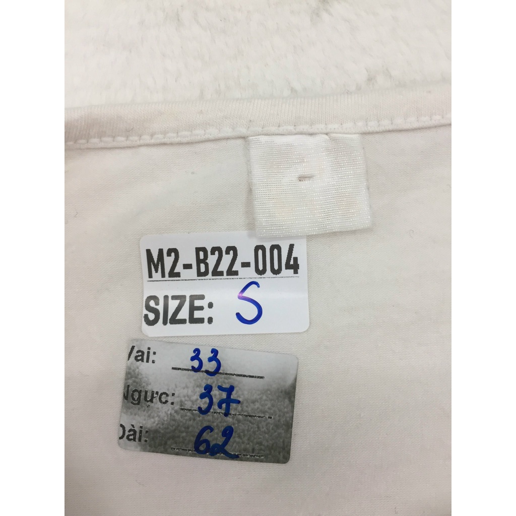 Áo Thun Tay Dài B22004 - Size S