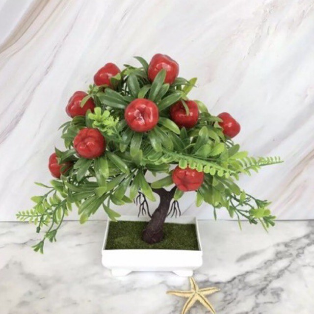 Chậu cây táo trang trí tết / cây nhựa bonsai