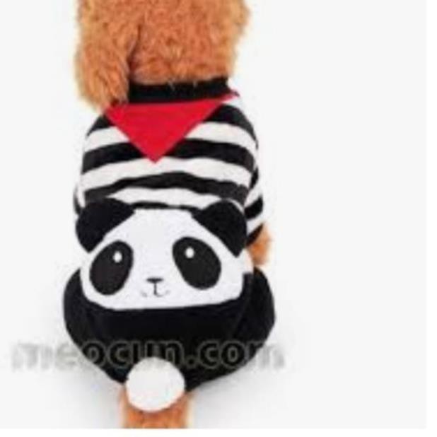 HT81 - Combo Áo FBI cho cún