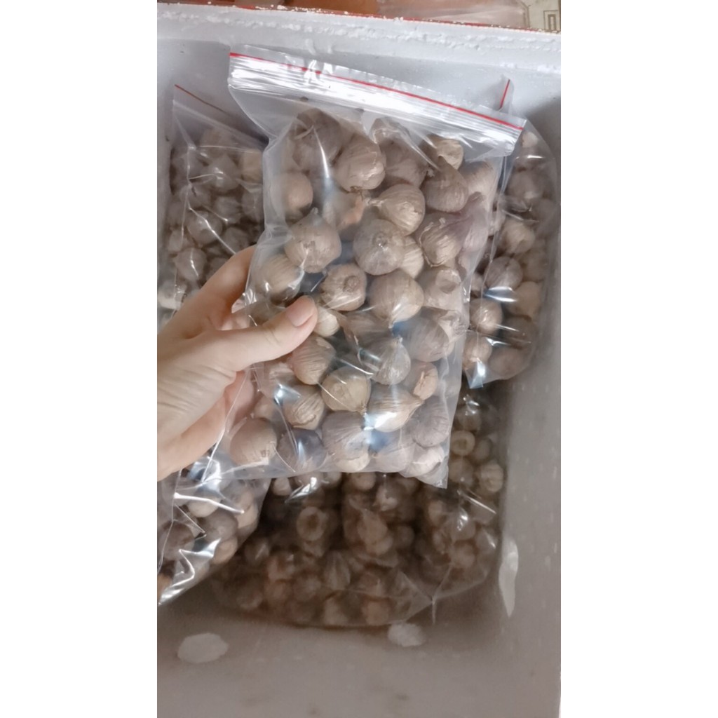 Tỏi đen cô đơn cao cấp [chính hãng] FREESHIP  chuẩn dài ngày | BigBuy360 - bigbuy360.vn