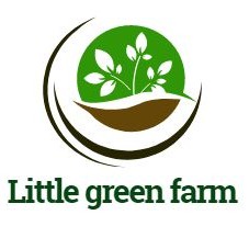 Little green farm, Cửa hàng trực tuyến | BigBuy360 - bigbuy360.vn