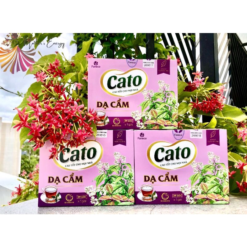 Dạ Cẩm cato
