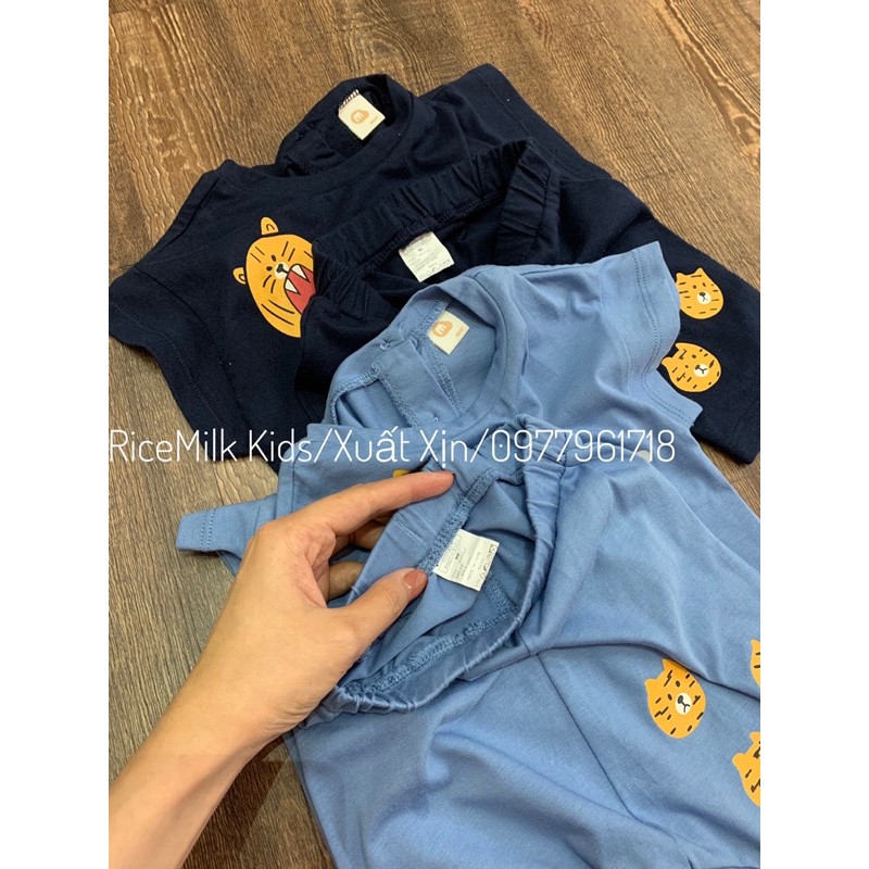 Bộ Cotton Hổ Vàng 2 màu Xanh cho bé trai