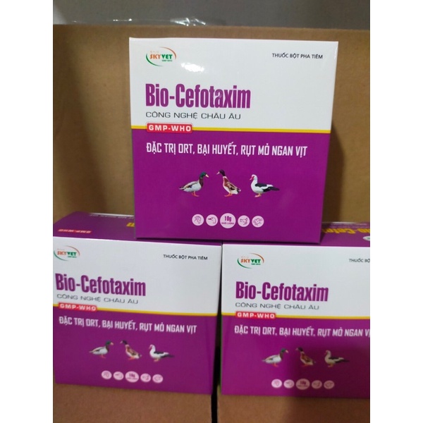 Thuốc thú y cefaxim đặc trị bại huyết, ort