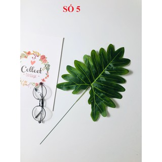Combo chụp ảnh số 71