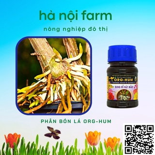 ORG HUM - Bung Rễ, Bật Mầm (chai 100ml)