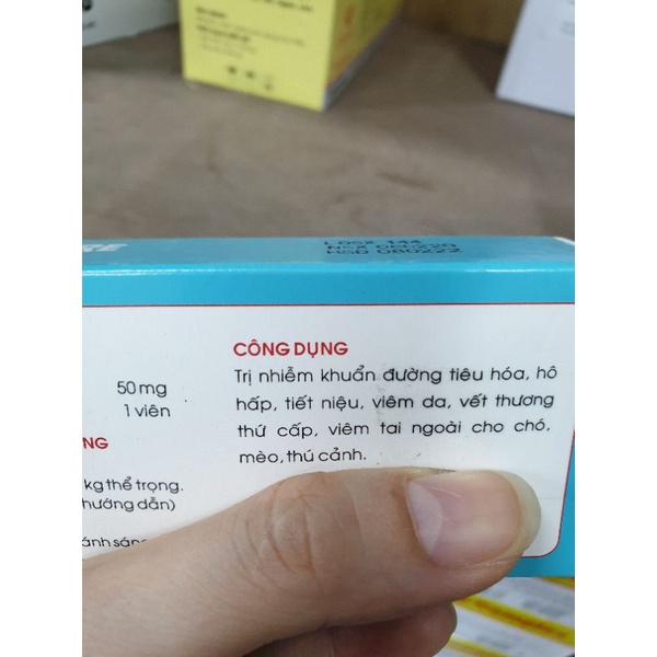 combo cho boss bị v.iêm.tai.rất nhạy