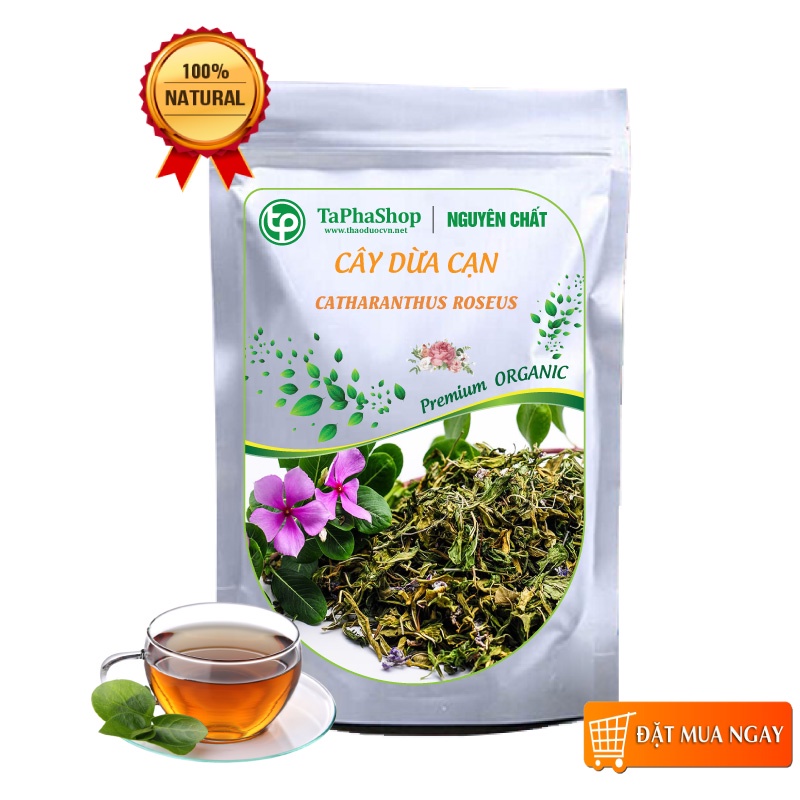 Cây dừa cạn sấy khô - Thảo dược Tấn Phát