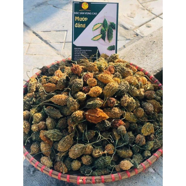 Khổ qua  rừng
