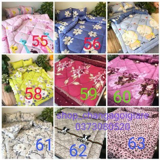 Bộ ga gối chăn phao 5 món poly cotton