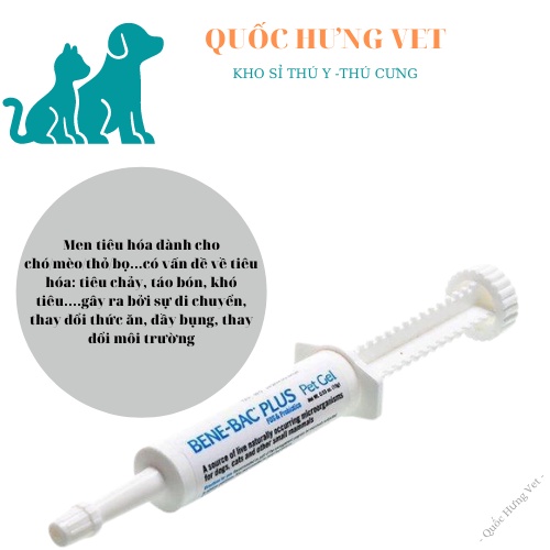 Men đường ruột Bene Bac Plus cho chó mèo - QUỐC HƯNG VET