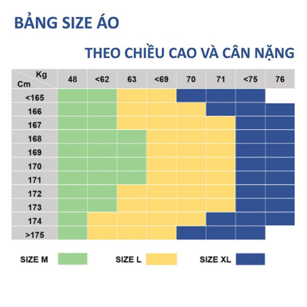 Áo Polo cổ bẻ ôm dáng cực hot mùa thu đông, chất liệu vải 100% cotton co giãn siêu mịn, Logo thêu sắc nét cao cấp