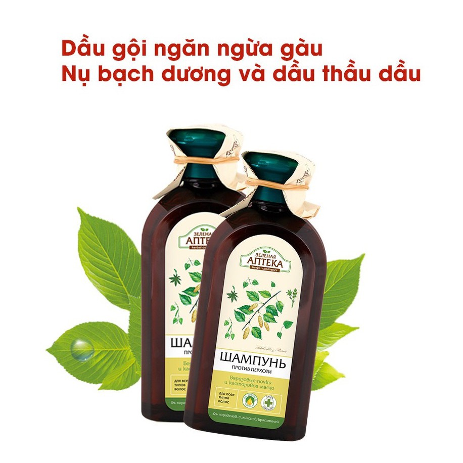 Dầu Gội Ngăn Ngừa Gàu Zelenaya Apteka Nụ Bạch Dương Và Dầu Thầu Dầu 350ml