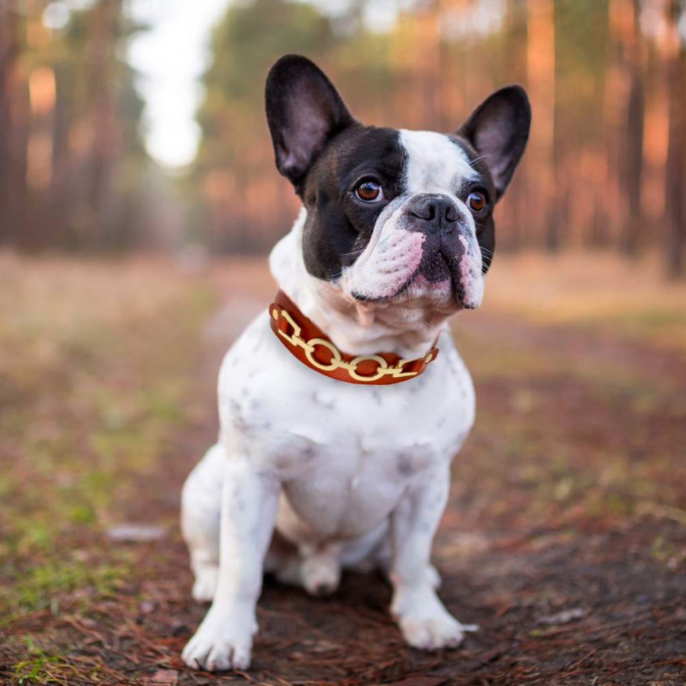 Vòng đeo cổ bằng chất liệu da màu nâu dành cho chó French Bulldog