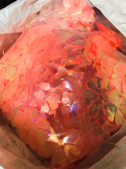 100G Bông Tuyết 6 Cánh [2 Màu Dạ Quang] Mới