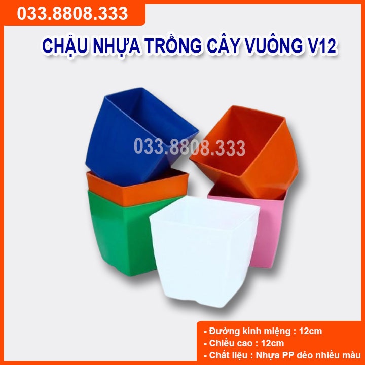 10 CHẬU NHỰA V12 MÀU BẤT KÌ- CHẬU BỀN ĐẸP BỀN
