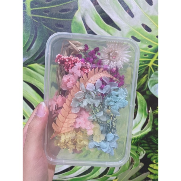 HOA KHÔ TRANG TRÍ NẾN/ SÁP THƠM