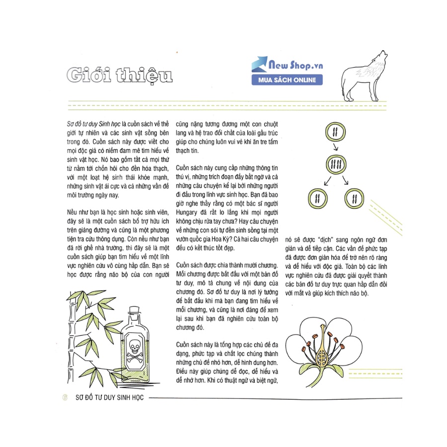 Sách - Sơ Đồ Tư Duy Sinh Học - Mind Map Biology