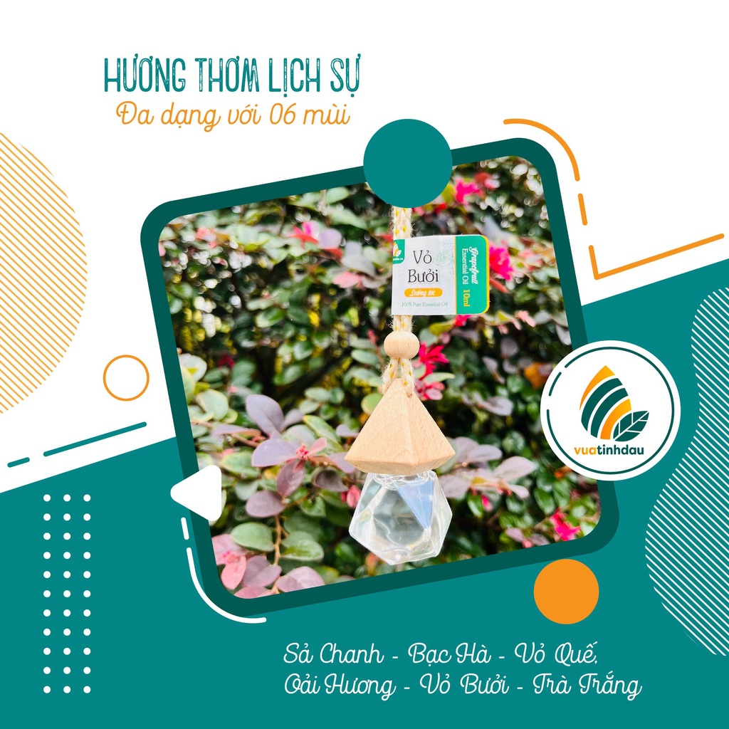 Tinh Dầu Treo Xe Ô Tô Khử Mùi Xe Hơi 8ml VUATINHDAU Tinh Dầu Thơm Treo Xe Treo Thơm Phòng Thơm Tủ Quần Áo
