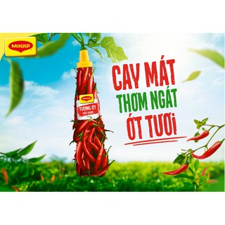 Tương ớt Maggi hảo hạng - chai 330ml
