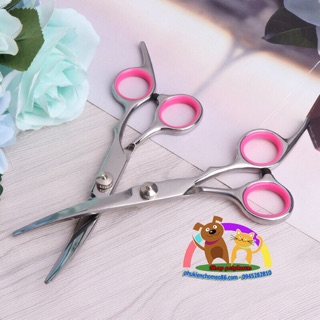 Bộ kéo cắt tỉa lông chó mèo NANA