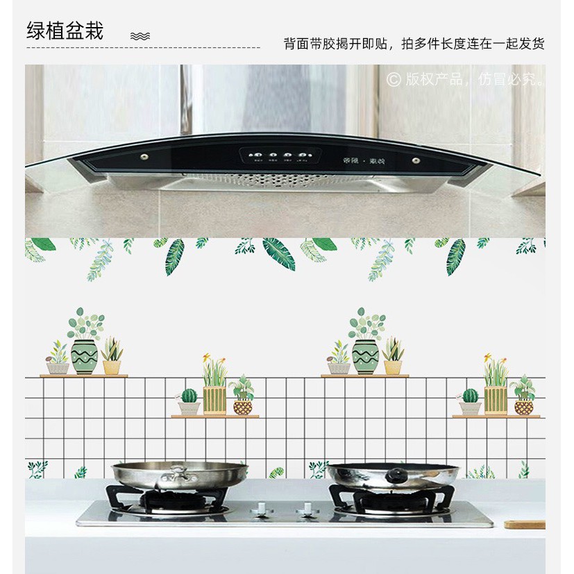 DECAL 1M x 60CM dán bếp tráng nhôm cách nhiệt kệ chậu hoa mới