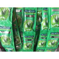 Dầu gội có dầu xả Palmolive gói 6g x 12 gói sx tại Thái Hàng Cty