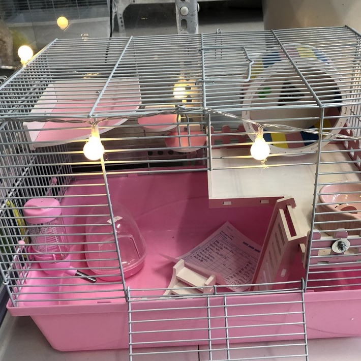 Nhà tắm hamster, CỬA LẬT đủ màu