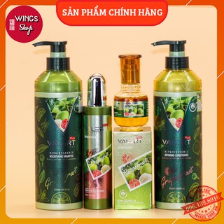 Cặp Dầu Gội Xả Bưởi Grapefruit Plus 850ML | Giảm Rụng Tóc, Phục Hồi Hư Tổn, Khô Xơ | Hàng Chính Hãng
