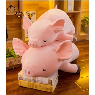 Heo bông đáng yêu