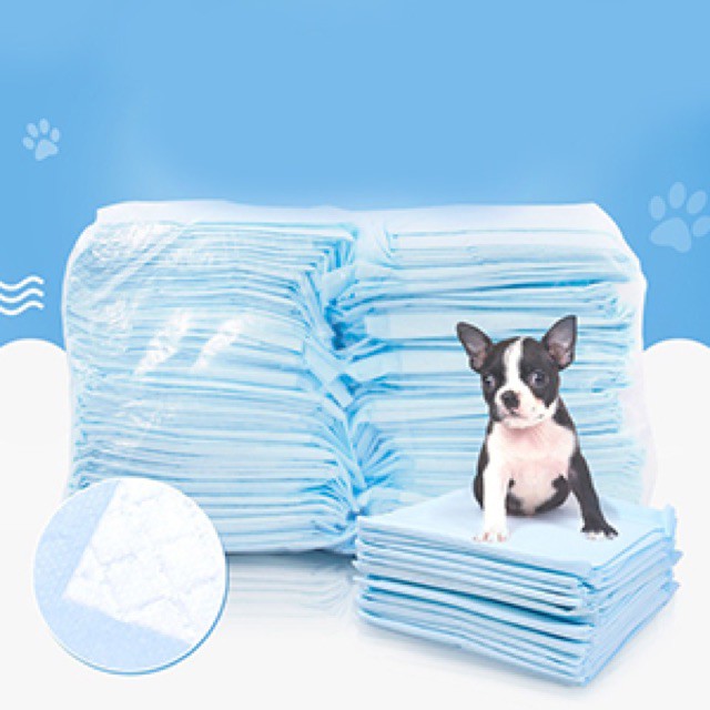 Bịch Tã lót vệ sinh cho chó mèo đi vệ sinh vào khay, chuồng bằng giấy siêu thấm hút 50, 100 tấm miếng