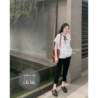 Thời trang nữ Bigsize . Áo Sơmi trắng bèo cổ thắt nơ mang kết hợp chân váy , jean dài. Bigsize L-XL-XXL