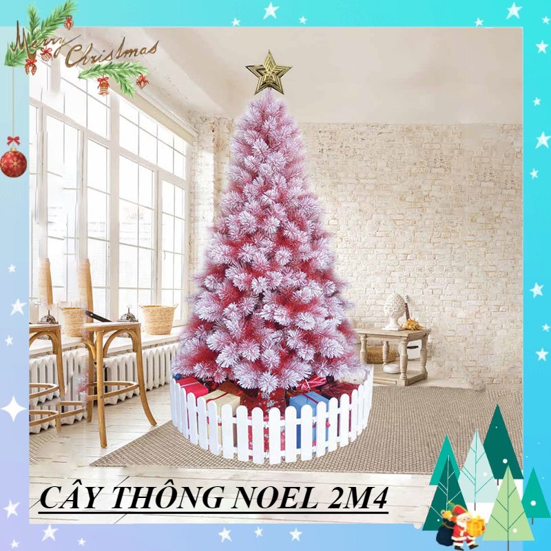 Cây thông noel phủ tuyết 2m4 cước màu đỏ  – cây tự động trang trí giáng sinh nhà thờ, phòng khách kèm ngôi sao đỉnh
