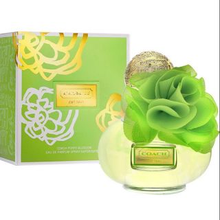 Nước hoa Bông Cải Xanh