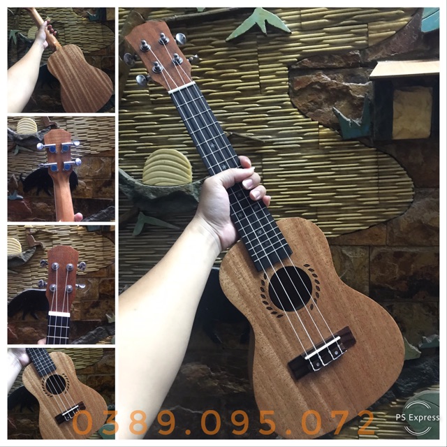 ĐÀN UKULELE CONCERT VIỀN LÚA