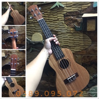 ĐÀN UKULELE CONCERT VIỀN LÚA