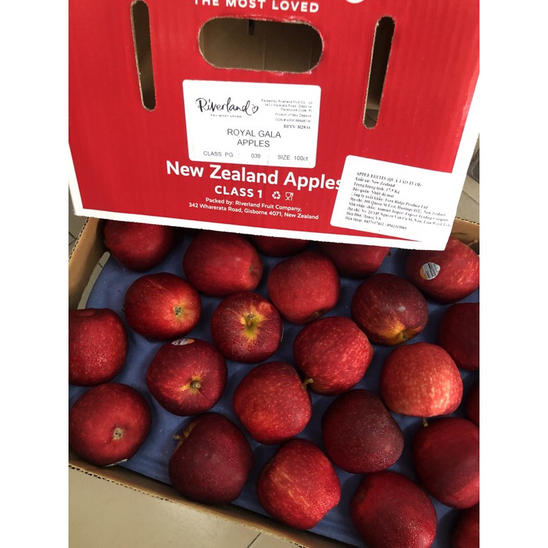 Set 4 trái táo Queen NZ hơn 1 kg