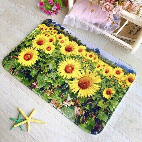 Thảm Lau Chân In Hình 3D Cực Hot 40x60cm (Giao màu ngẫu nhiên)