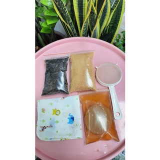 Trọn bộ nuôi scoby trà kombucha/ sét dụng cụ đầy đủ tiết kiệm