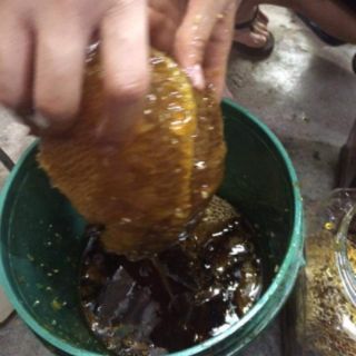 Mật ong rừng Điện Biên chai 1lit