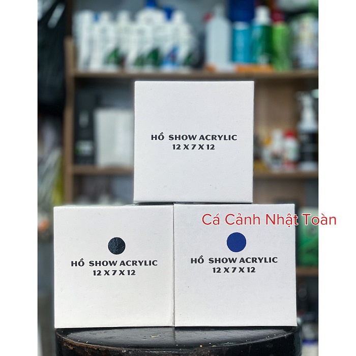 HỒ SHOW CÁ BETTA GUPPY ACRYLIC SIÊU TRONG 11X15X17CM