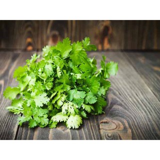 20GR - HẠT GIỐNG RAU NGÒ