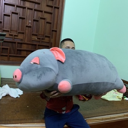 Gấu bông heo lợn, thú nhồi bông phê cần lim dim siêu to khổng lồ béo ú đáng yêu ngộ nghĩnh TK06