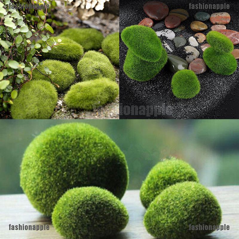 Đá rêu giả trang trí bể cá