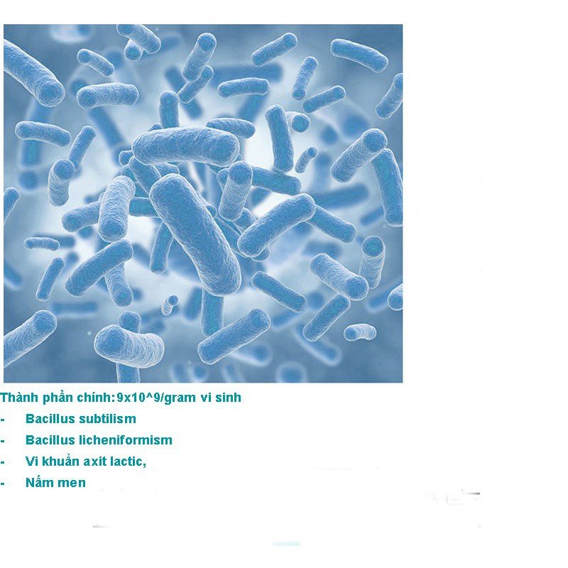 Men vi sinh cho chó mèo Borammy Probiotics ngăn ngừa các bệnh đường tiêu hóa phòng ngừa các bệnh viêm đường ruột- gói 5g
