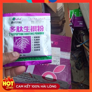 Thuốc Kích Rễ Trung Quốc ( 5 Gói  Hàng Nội Địa Chuyên Dùng Cho Dâm Cành Chiết Cành Siêu Ra Rễ Polypeptide Rooting Powder